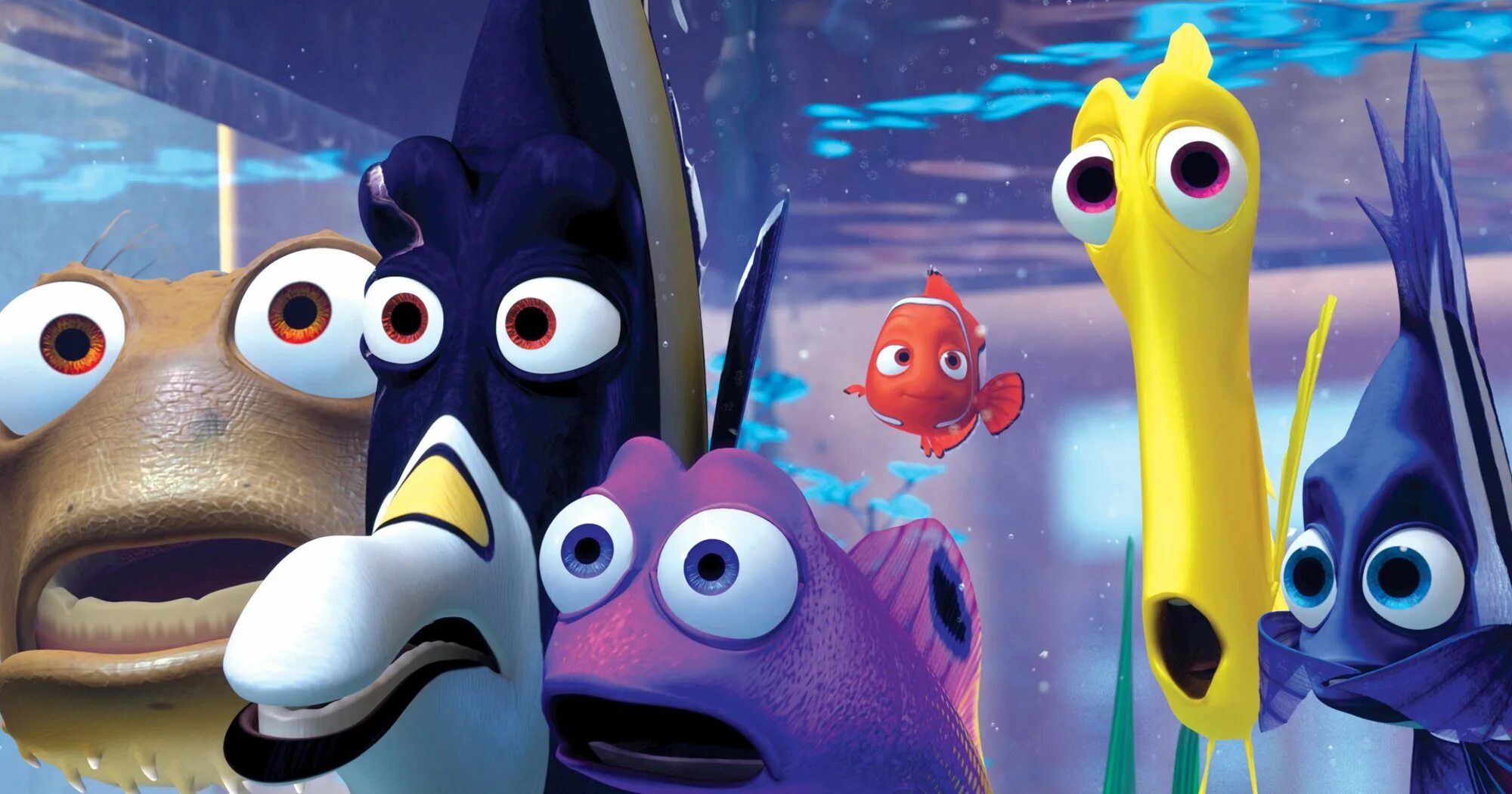 Nemo watch. Nemo watch. Часы немо. Nemo watch. Nemo watch.