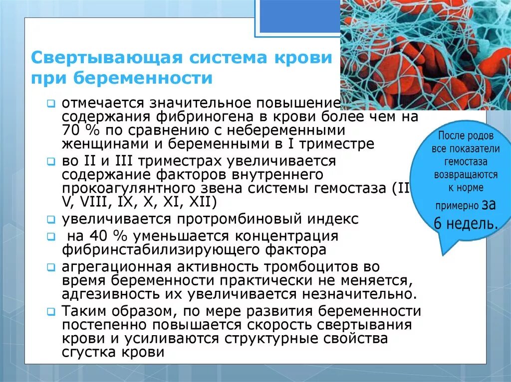 Изменение свертывания крови. Свяртывающая систме акрови. Свертывающая система крови. Свертывающая система крови при беременности. Характеристика свертывающей системы крови.