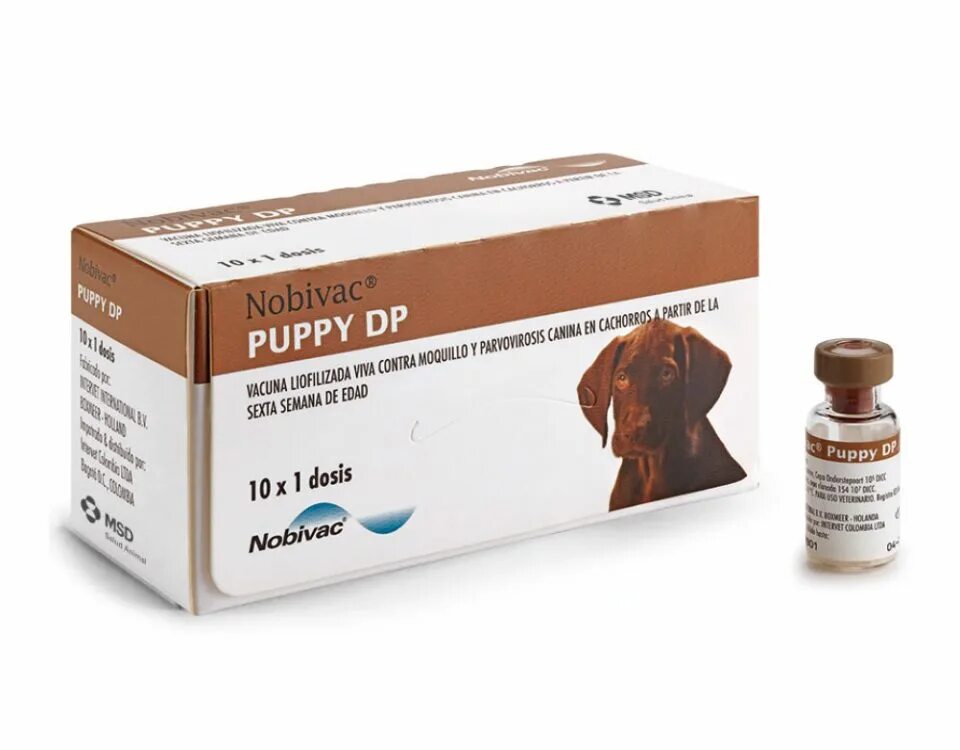 Делают ли собакам прививки от клещей. Нобивак пиро для собак. Вакцины против пироплазмоза собак. Пиродог вакцина. Вакцина Пиродог Pirodog для собак.