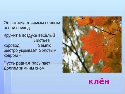 Листва составить слова