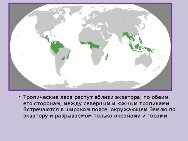 Страны без лесов. Тропические леса на карте. Тропические леса географическое положение. Распространение влажных тропических лесов в мире.