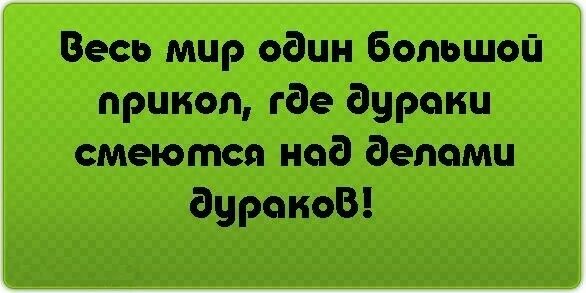 Смех дураков. Статусы про дураков. Прикольные статусы про дураков. Смешные цитаты про дураков. Прикольные выражения про дураков.