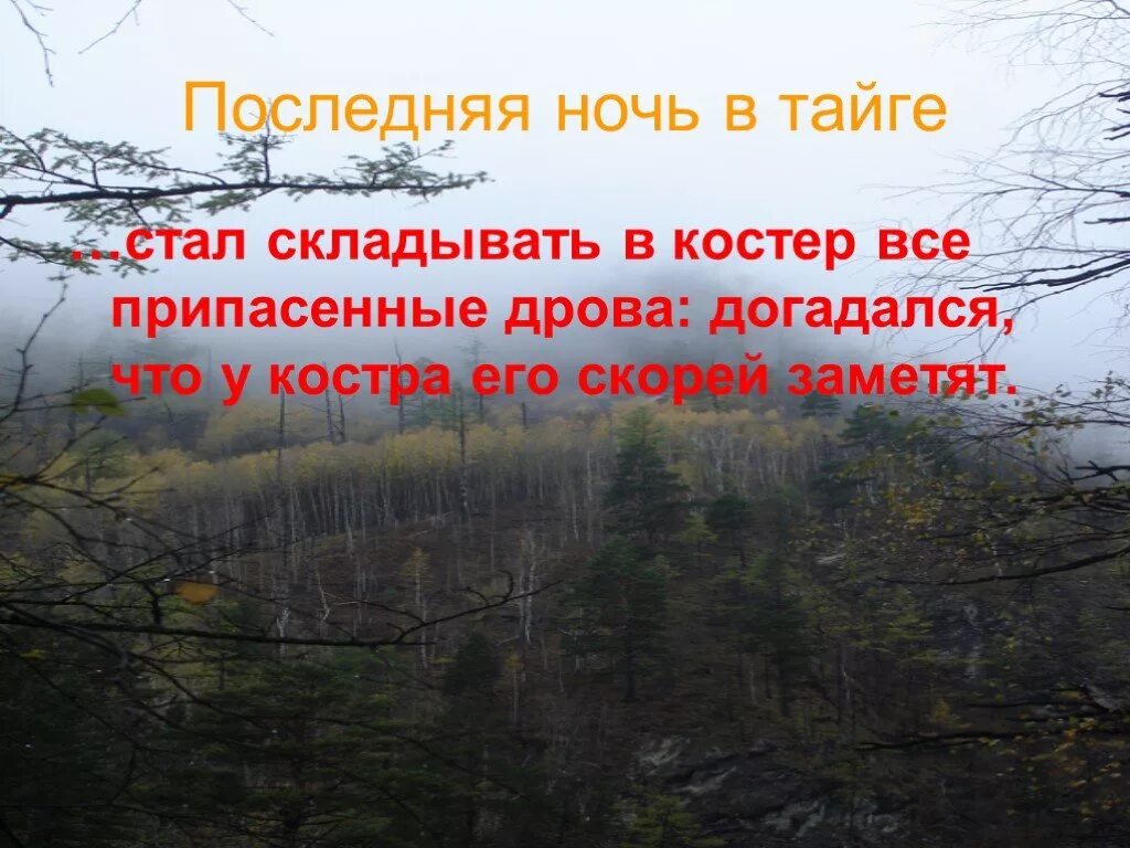 Тайга Васюткино озеро. Ночь в тайге изложение. Васюткино озеро Васютка в тайге. Уроки выживания в тайге по литературе 5 класс. Как вела себя тайга васюткино озеро