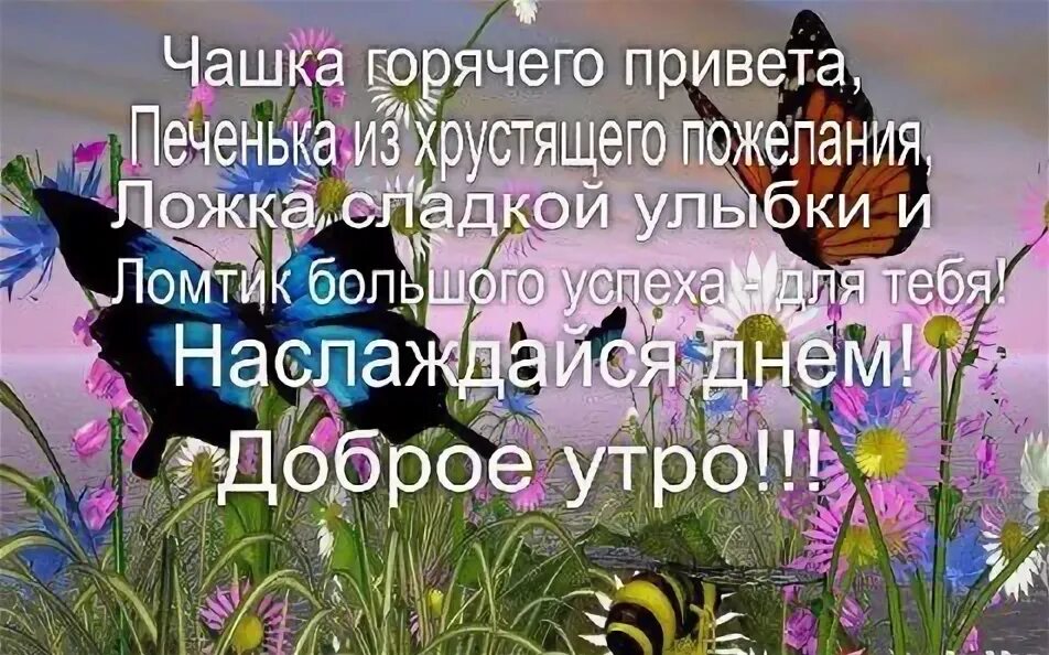 Всем доброе утро здравствуйте. И снова утро и снова здравствуйте картинки. и снова здравствуй утро доброе. открытки и снова утро и снова здравствуйте. и снова утро картинки здравствуйте.