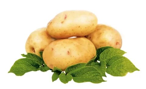 Детский картофель