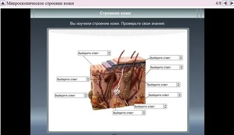 Инфоурок биология 8