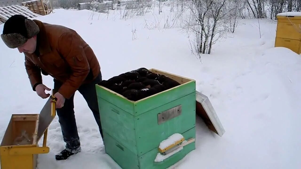 Самоделки для пчеловодства. Прикормка для пчел. Полезные самоделки пчеловодов. Самоделки для пчеловодов своими.