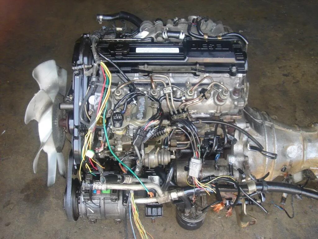 Двигатель Мазда 626 2,0 дизель RF. Двигатель Mazda RF 2л дизель. Двигатель Мазда RF 2.0 дизель. Двигатель RF 2.0 дизель Mazda Bongo. Купить дизель двигатель мазда