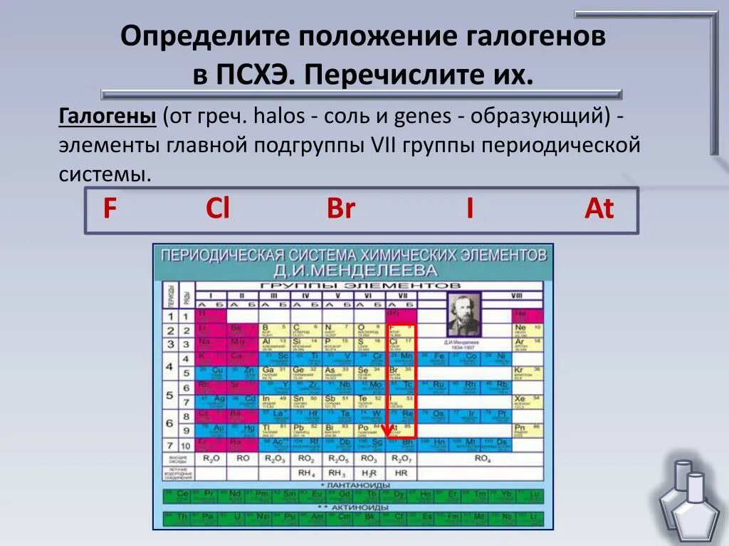 Положение галогенов в периодической системе. Элементы VII группы главной подгруппы. Группы и подгруппы химических элементов. Элементы главной подгруппы. Презентация периоды группы подгруппы 8 класс химия