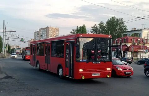 Автобус казань петербург