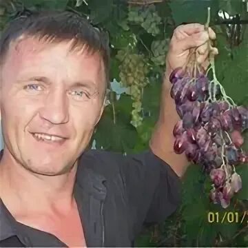 Виноград 48