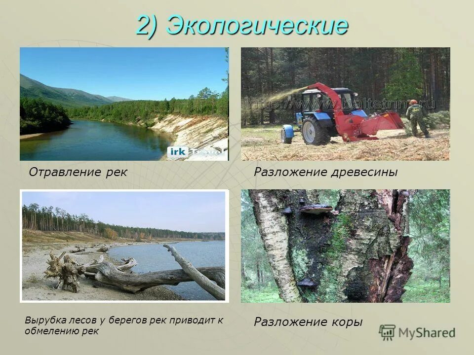 Сведение лесов в бассейнах рек приводит. Вырубка лесов у берегов рек приводит к обмелению рек. Проблемы Лесной промышленности. Проблемы Лесной промышленности в России. Лесная промышленность в Европе на что ориентирована.