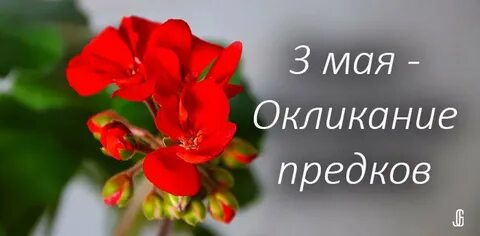 День окликания предков картинки с надписями
