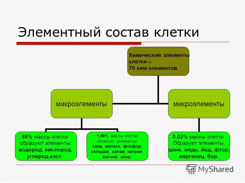 Группы элементов клетки. Компоненты химического состава клетки. Химические элементы клетки схема. Элементарный химический состав клетки схема.