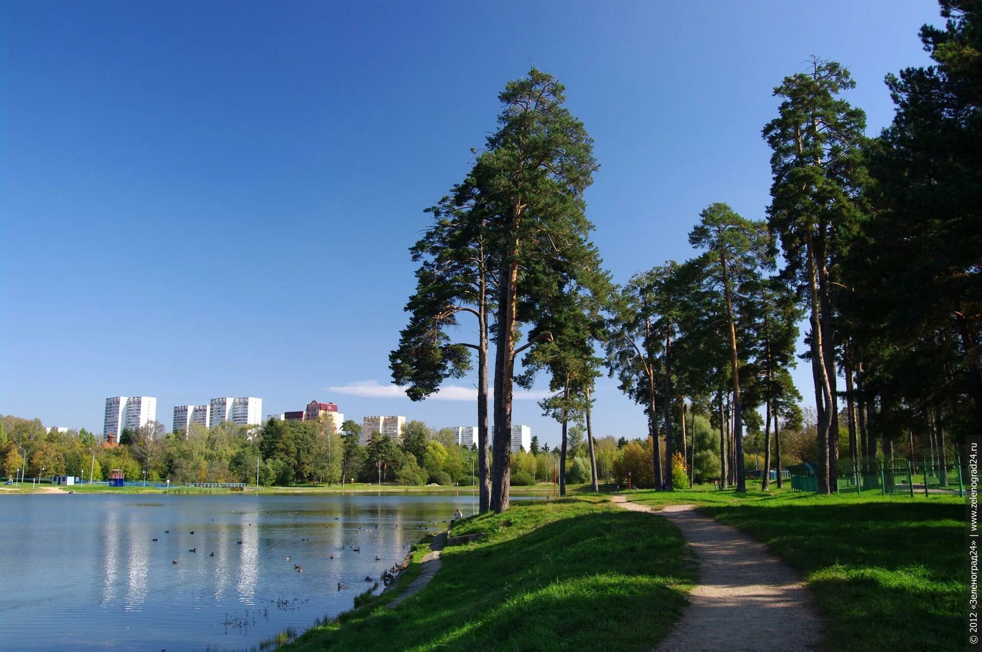 Лесопарковые зеленые пояса россии. Лесопарковая зона свистуха. Лесопарковый зеленый пояс г. Крюковский лесопарк в зеленограде. Колыванский бор новосибирск.