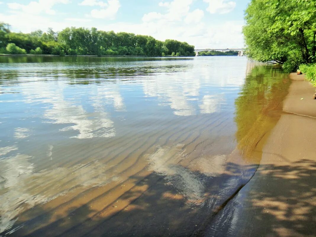 В к к реке б м. Река на м. Река м2о2. МЦЕНА река. Засоренный пруд.