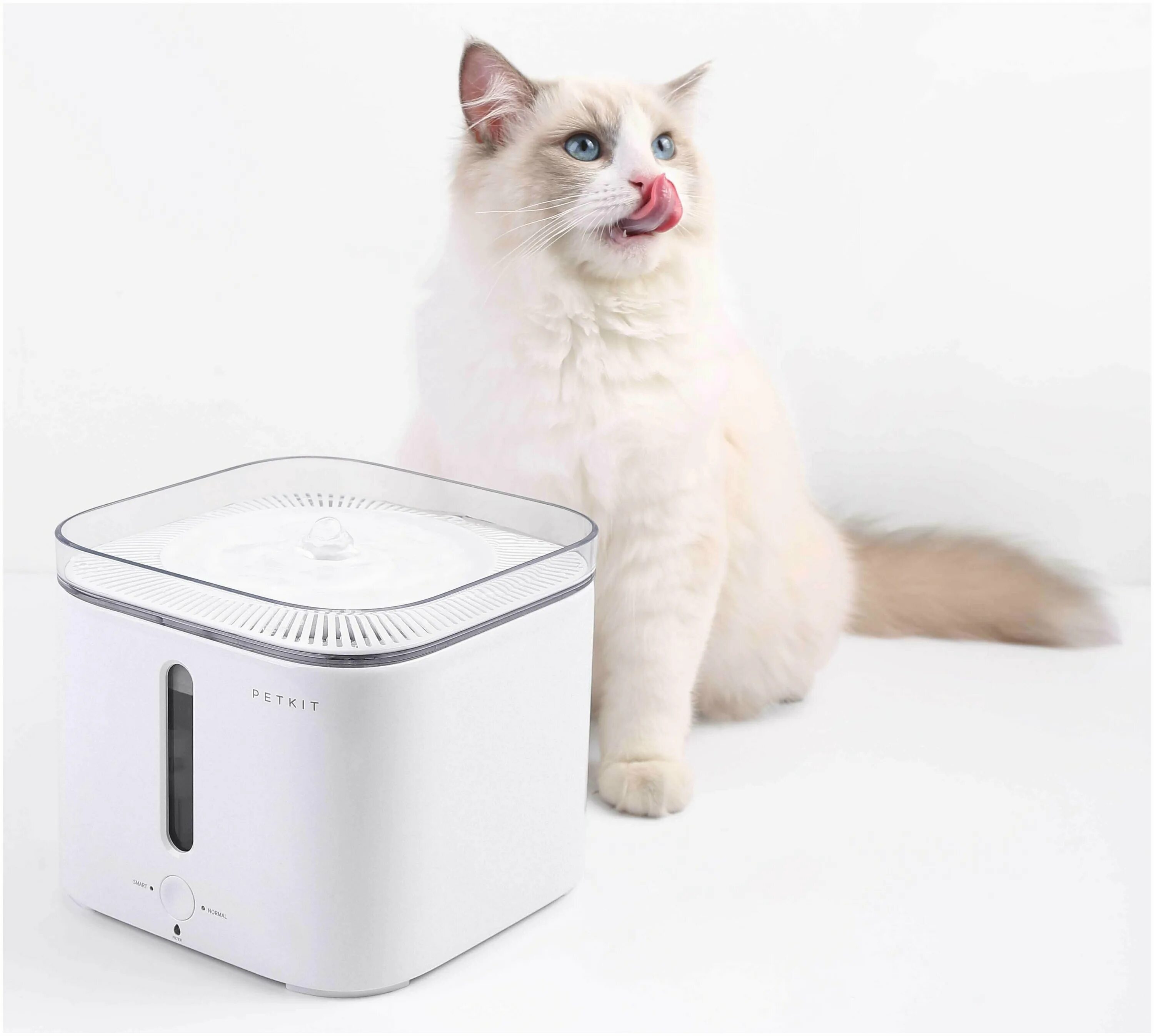 Petkit eversweet solo. Xiaomi petkit fresh element. Petkit. Petkit 5. Petkit logo.