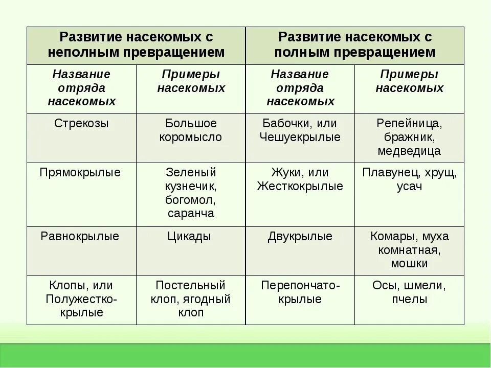 Насекомые с полным и неполным превращением примеры. Насекомые с полным и неполным превращением таблица. С полным и неполным превращением таблица. Отряды насекомых с полным и неполным превращением. Насекомые с полным превращением и с неполным превращением таблица.