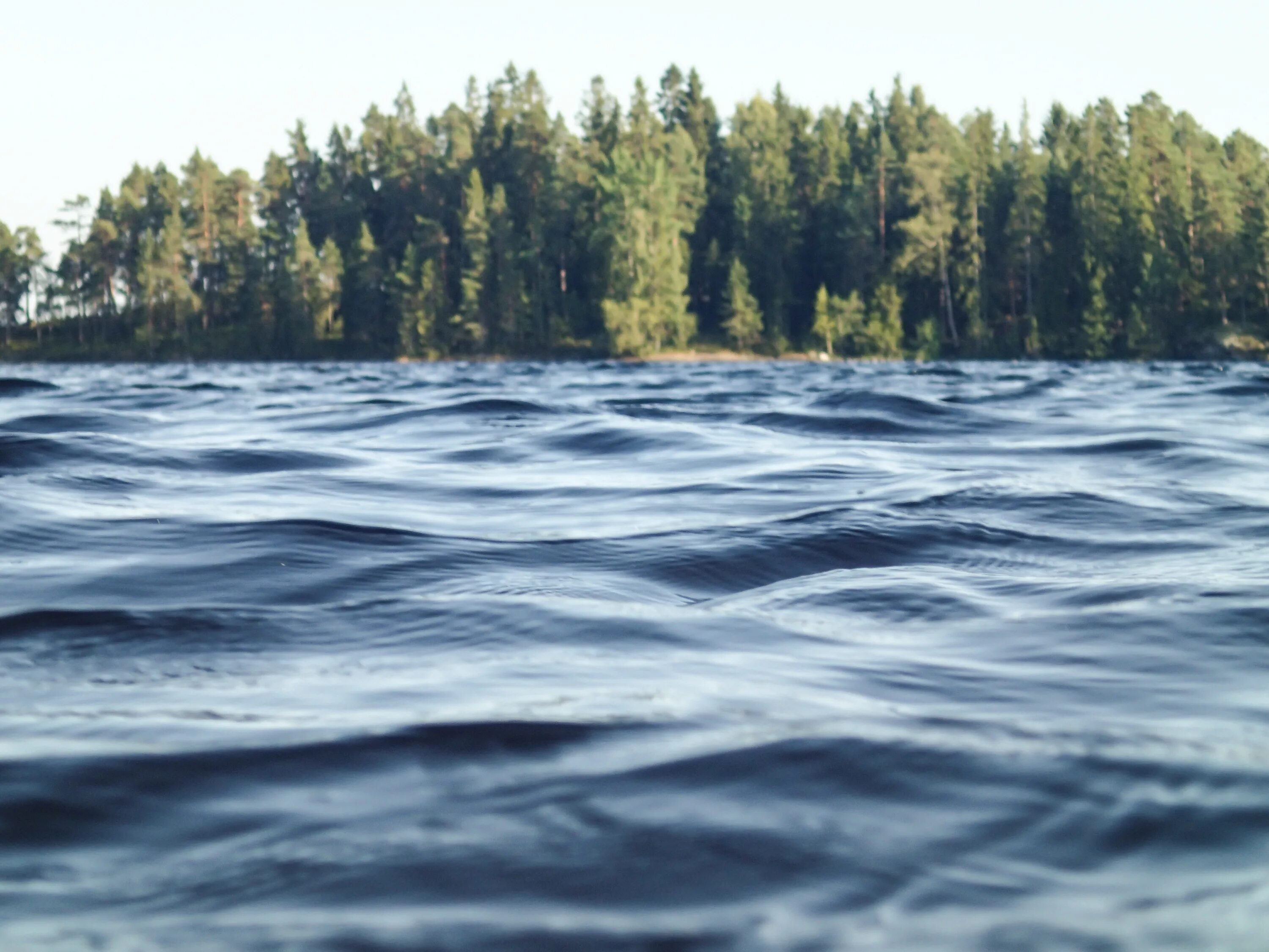 Сон вода течение. Озеро Каллеловский разлив рыбалка. Река Водла. Озеро Лахтинский разлив. Река Светлушка Пермь.