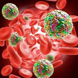 Dengue virus