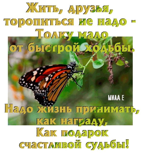 Не торопите жизнь судьбе. Не надо торопиться жить и суетиться в жизни. открытка не торопитесь жить. торопиться жить стихи. жить нужно не спеша.