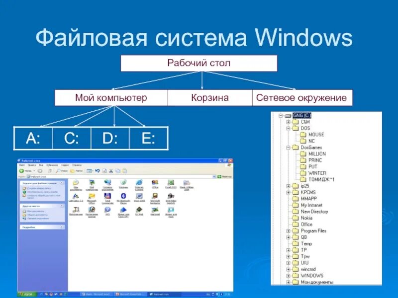 Скопировать ос ос. Принципы организации файловых систем Windows. Файловая система виндовс 10. Структура файловой системы ОС. Файловая структура операционных систем операции с файлами.