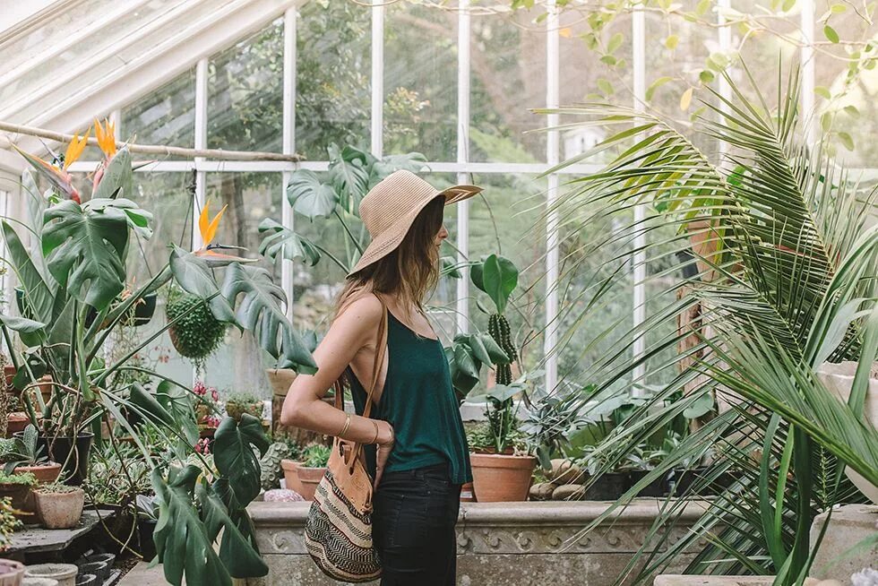 Вывод про растения. Цветовод с комнатными цветами. Поздние цветы композиция. Что можно сказать про цветы. Как растения разговаривают.