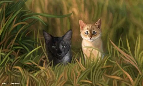 Коты воители ветерок