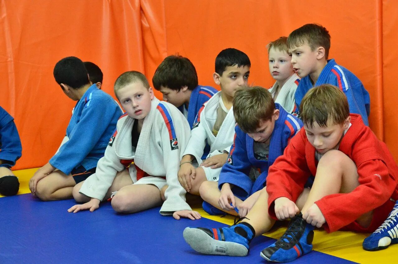Дворец самбо краснодар. Самбо школа 1505. Самбо дети. Школа самбо краснодар. Школа самбо краснодар.