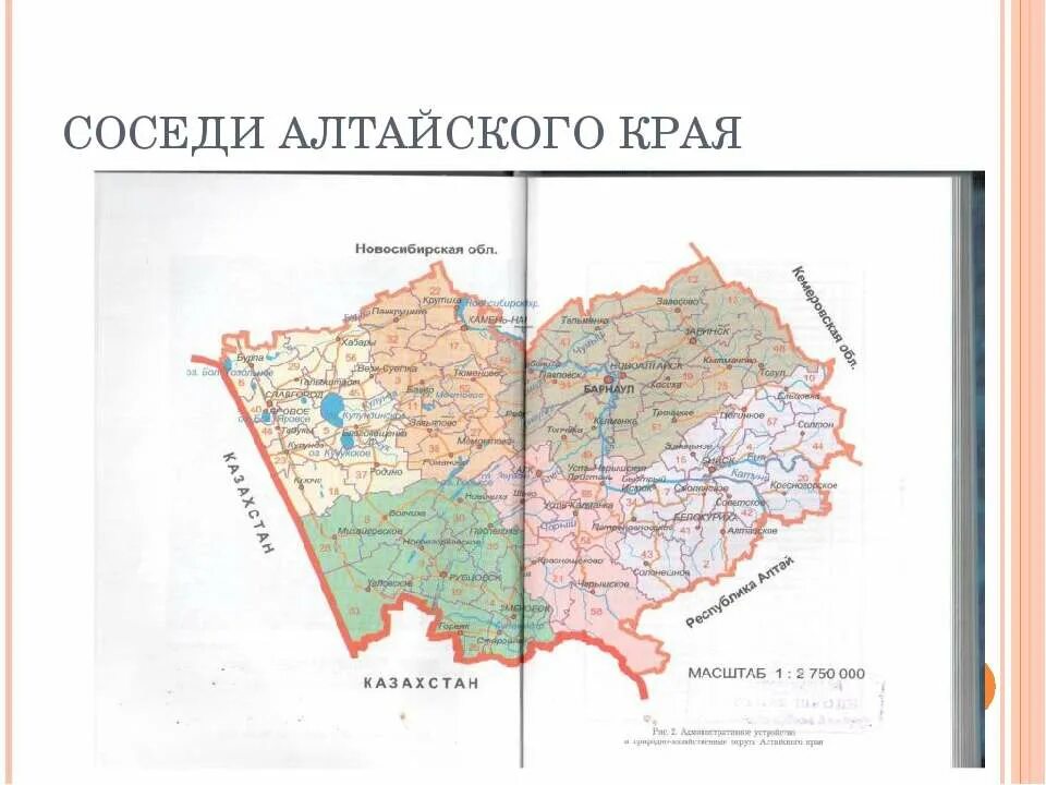 С кем граничит алтайский край на карте. Соседи алтайского края. Карта алтайского края с населенными пунктами и районами. Соседняя страна алтайского края. Соседняя страна алтайского края.