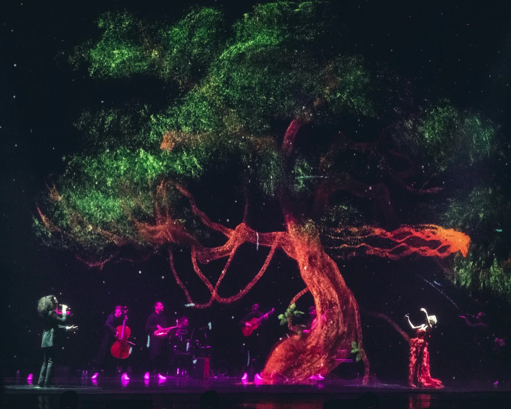 Музыка в темноте видео. Шоу музыка в темноте. Оркестр в темноте. Концерт в темноте. Музыка в темноте видео.