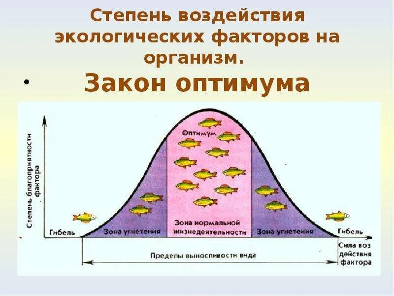 Факторы среды. Экологические факторы. Экологические факторы среды. Влияние экологических факторов. Группы экологических факторов 7 класс