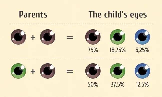 Папа карие глаза мама зеленые. Цвет глаз родителей и детей. Цвет глаз у ребёнка от родителей таблица. Вероятность цвета глаз. Цвет глаз будущего ребенка таблица.