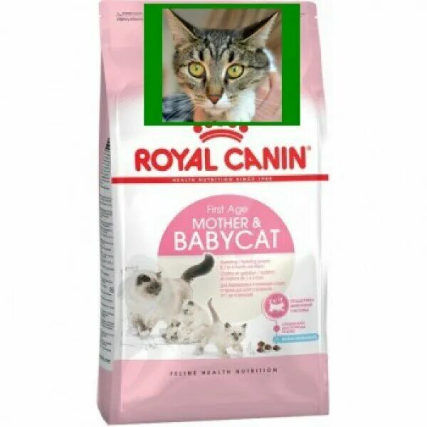 Корм для беременных и кормящих кошек. Корм Babycat Royal Canin. Корма Royal Canin для котят от 1 до 4 месяцев. Royal Canin для кошек mother Babycat. Корм для котят от 1 месяца Роял Канин.