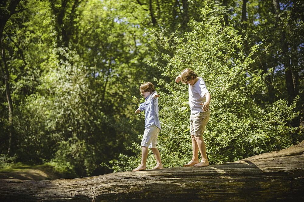 Camping boys. Два мальчика рядом с деревом картинки. Два мальчика идут картинка. Boys on Camping.