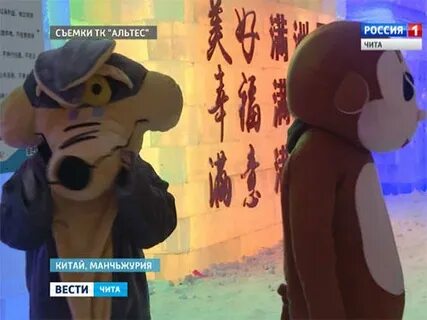 Вести чита 21
