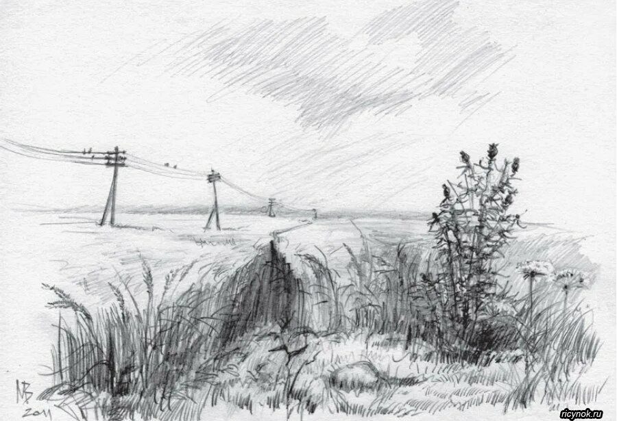 Степь нарисовать карандашом. Раскраска поле. Степь нарисовать карандашом. Поле карандашом. Рисунок степи карандашом для срисовки.