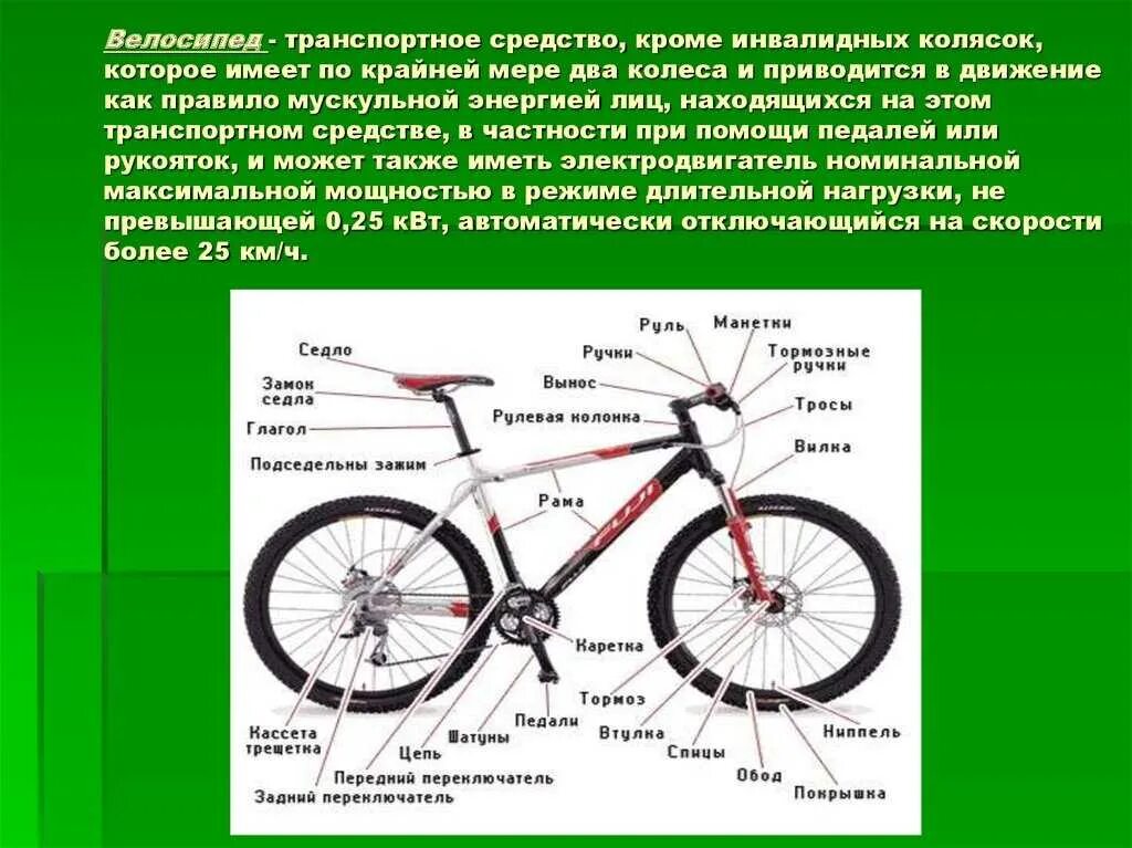 Велосипед по обж. Виды двухколесного транспорта. Разные типы велосипедов. Разные типы велосипедов. Велосипед относится к виду транспорта.