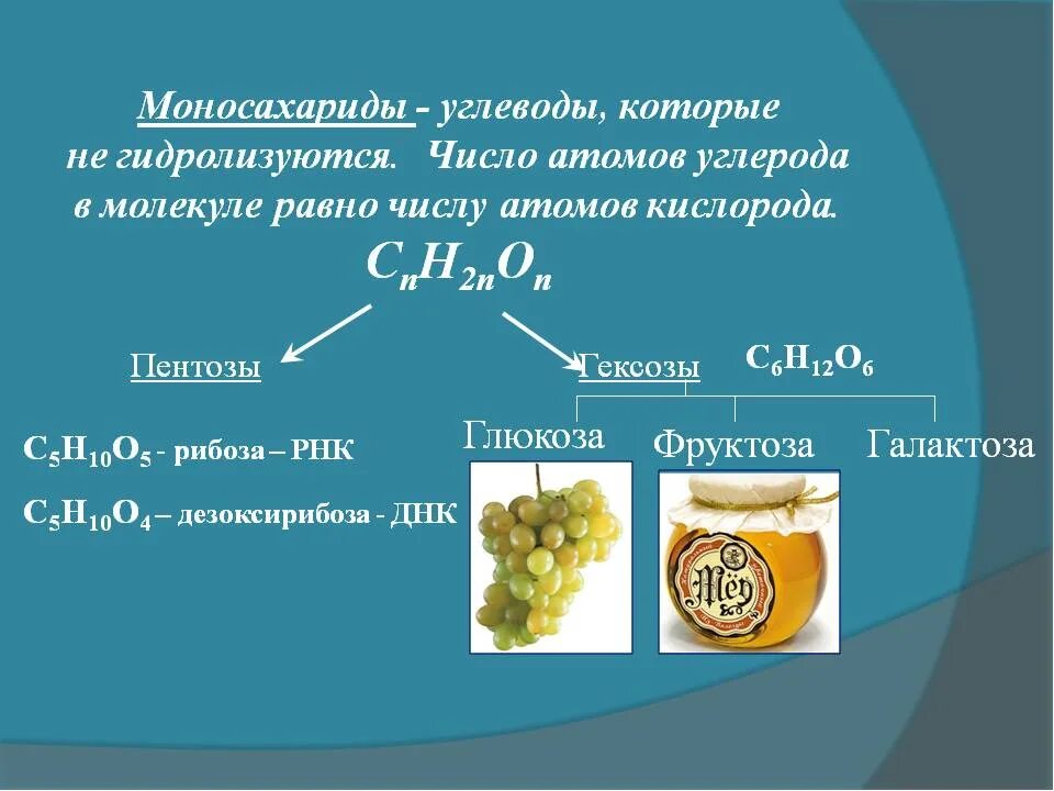 Углеводы содержат в молекуле. Углеводы моносахариды формулы. углеводы глюкоза общая формула. моносахариды понятие. простые углеводы формула.
