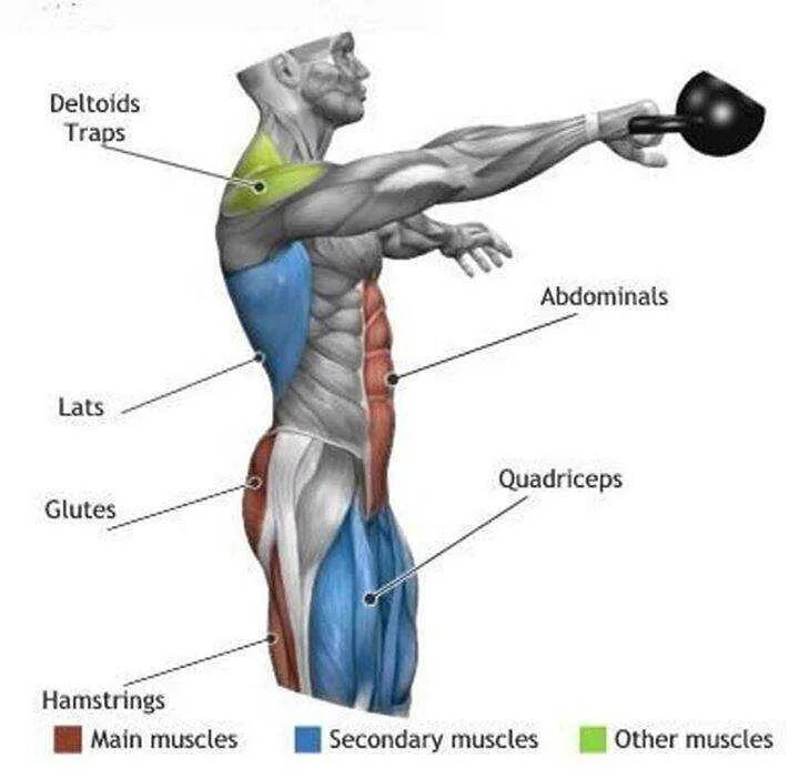 Мышцы задействованные при толчке гири. Рывок гири группы мышц. Рывок гири какие мышцы работают. Мышцы задействованные с гирей. Я использую мускулы для доминирования