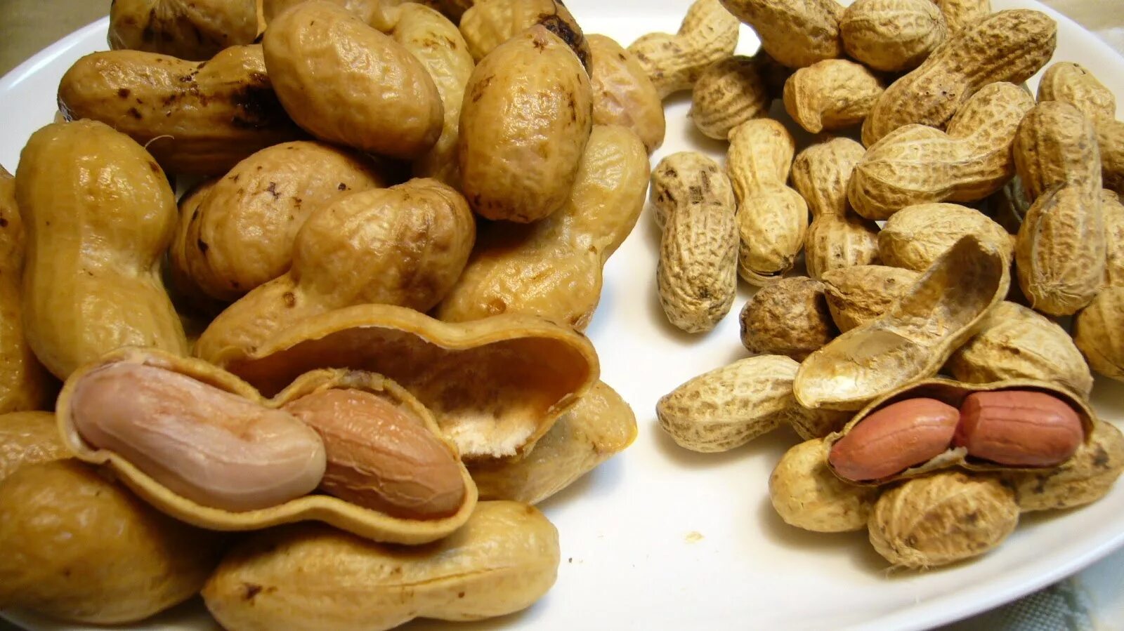 Роды арахиса. Арахис (род). Сорта арахиса. Boiled Peanuts. ERYONGOQ.