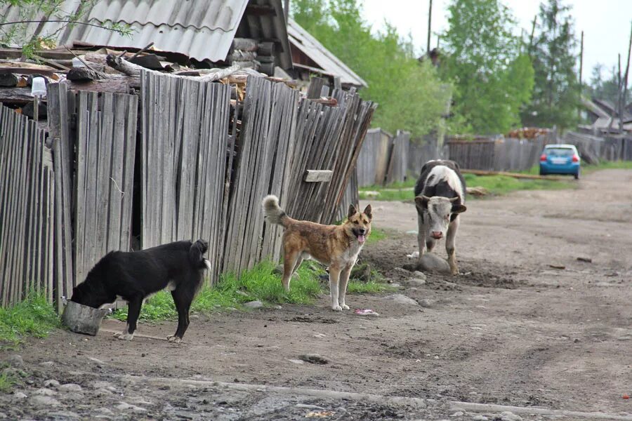 Погода новая чара на 10. Забайкальский край, район Каларский, село Чара. Старая Чара Забайкальский край. Аэропорт Чара Забайкальский край. Село Чара Каларского района Читинской области.