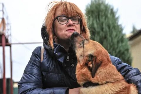 Ветеринар посоветуйте