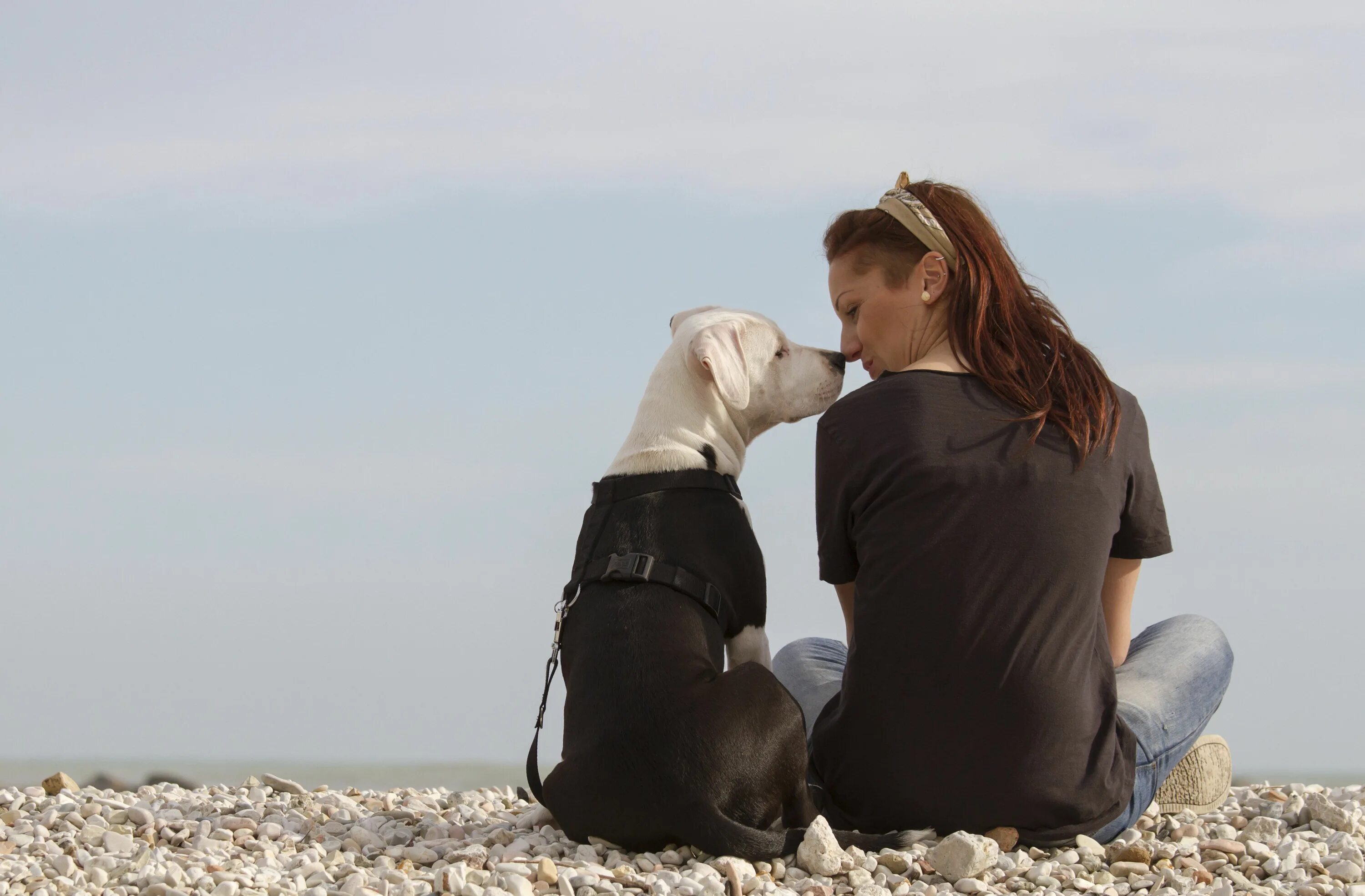 Dog have woman. Женщина с собакой. Любовь собаки к человеку. Хозяин собаки. Женщина обнимает собаку.