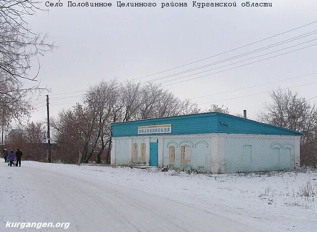 Половинное Курганская область Целинный район. Село Целинное Курганская область. Школа Половинное Курганская обл Целинный р-н. Михалево Курганская область Целинный район. Целинное курганская область погода на неделю