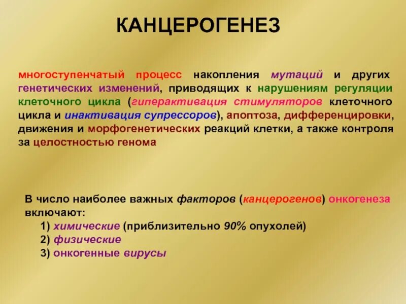 К образованию новых видов приводит изменение генофонда. Канцерогенез. Канцерогенез презентация. Мутационная теория канцерогенеза. Клеточно-генетические теории онкогенеза..