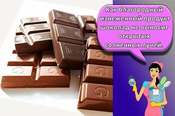 Как правильно хранить шоколад. Хранение шоколада. шоколад нельзя хранить в холодильнике. условия хранения шоколада. правильное хранение шоколада.