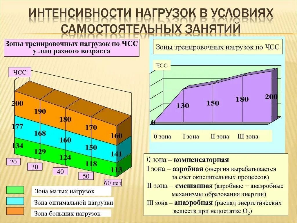 Интенсивность тренировочной нагрузки. Интенсивность нагрузки на занятиях. Интенсивность нагрузки по ЧСС. Степени интенсивности нагрузки. Основные составляющие тренированности