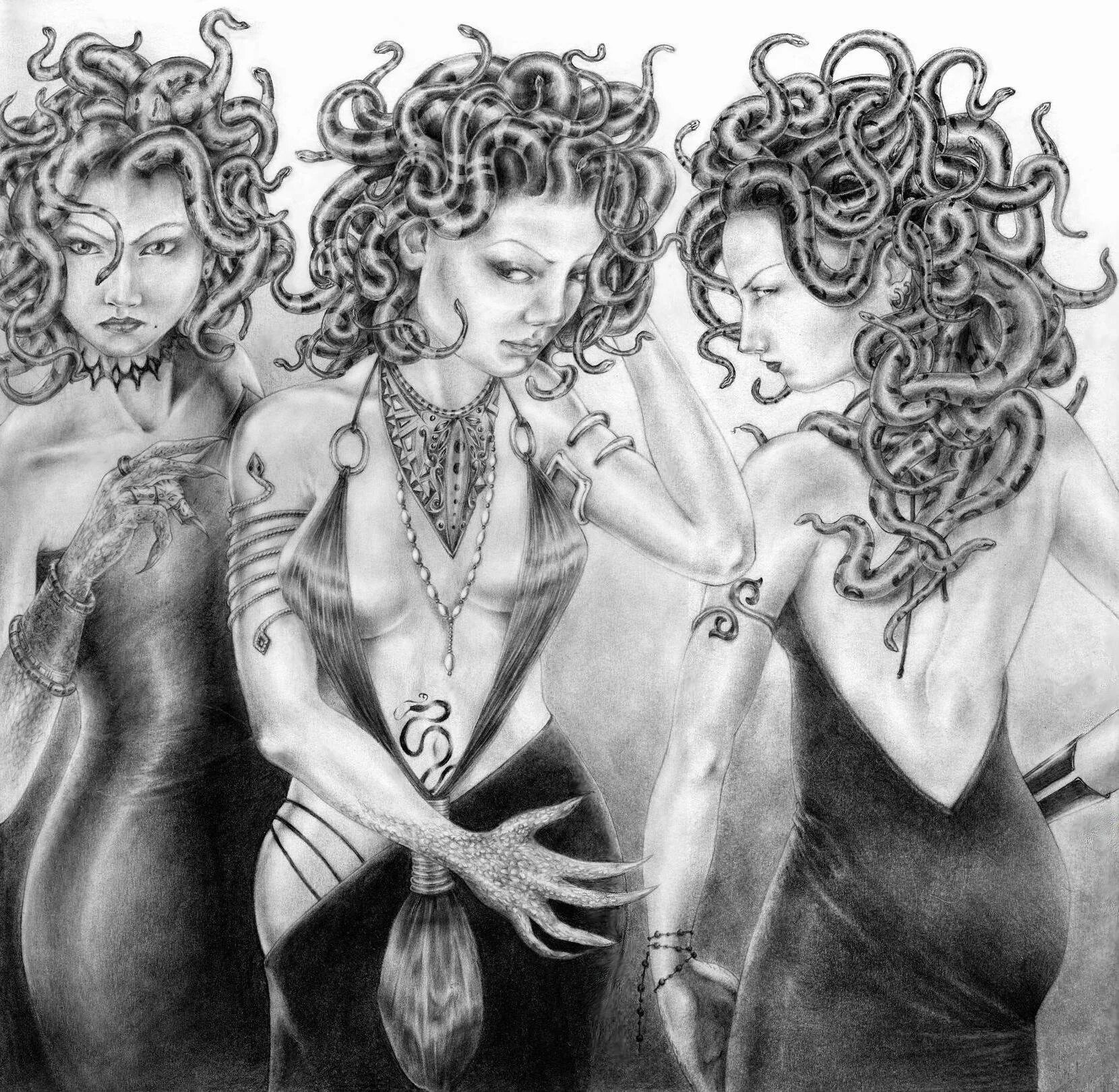 Медуза Горгона три сестры. Сестры Горгоны Сфено Эвриала. Горгоны Сфено Эвриала и медуза. Медуза Горгона и ее сестры. Слово мегера