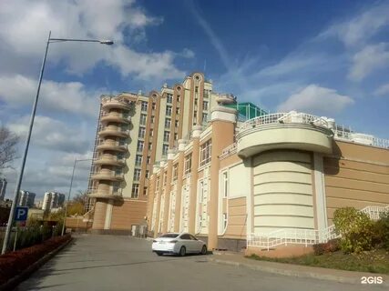 Фото кузнечная андромеда кузнечная